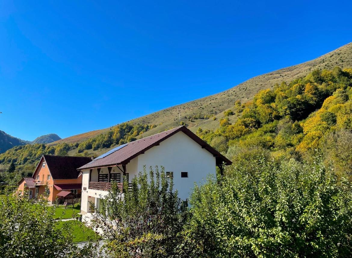 Pensiunea An De An Remeţi Exteriér fotografie
