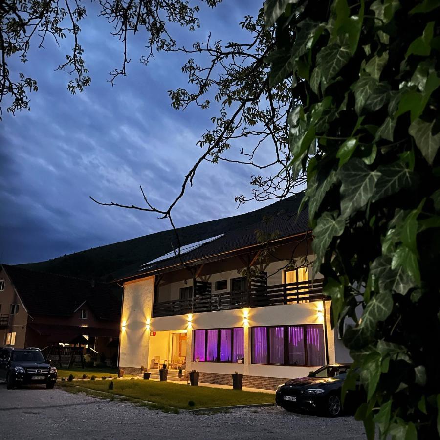 Pensiunea An De An Remeţi Exteriér fotografie