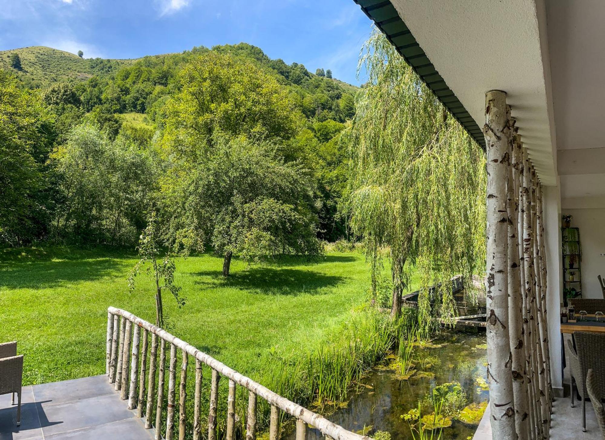 Pensiunea An De An Remeţi Exteriér fotografie